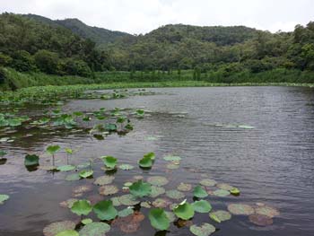 【种生基】2013年5月28日【七星水明堂】开团顺利完成