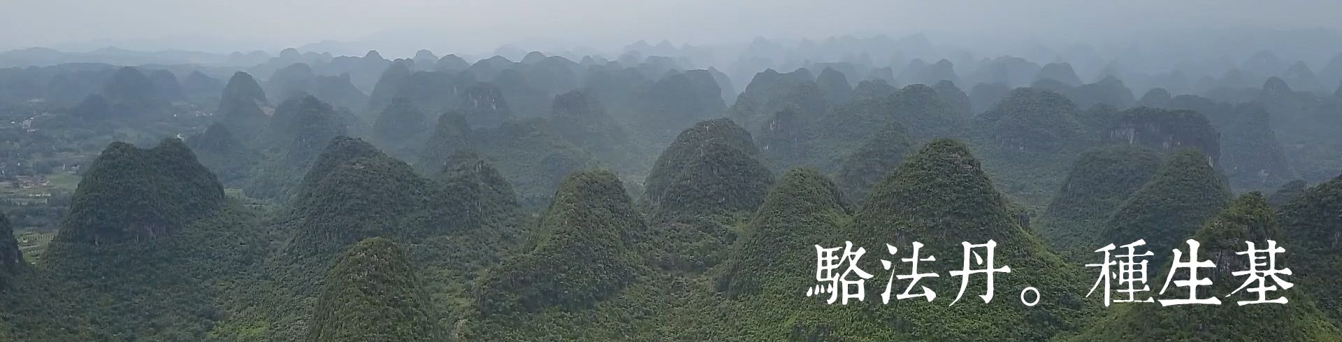 种生基|骆法丹风山水堂